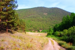 Дорога в падь Ташкиней (южная часть острова Ольхон)